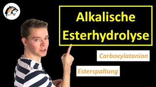 Alkalische EsterhydrolyseVerseifung  Chemie Tutorial [upl. by Monique]