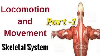 Movement amp Locomotion Part 1  Human Anatomy and Physiology By Laxmi kant sir [upl. by Gerrald]