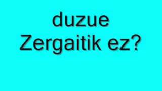 Txapelpunk  Zergatik Ez Lyrics [upl. by Annair]