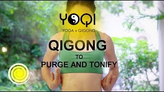 Qigong to Purge and Tonify [upl. by Aener335]