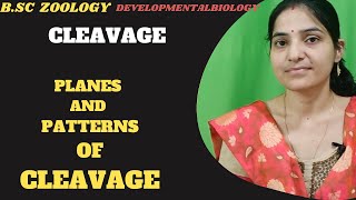 CleavagePlanes And Patterns Of Cleavage BSc 3rd year Developmental biologyCleavage Embryology [upl. by Eejan]