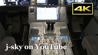 4K Airbus A350 XWB Landing Cockpit Closeup at Tokyo Haneda Airport  エアバスA350 JAL 羽田空港 [upl. by Bowrah32]