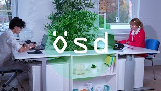 ÖSD Zertifikat ZB2 Mündliche Computeprüfung Sprechen [upl. by Ahsitahs669]