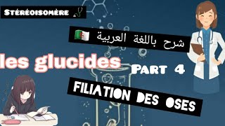 les glucides filiation des oses  part 4 [upl. by Pearle]