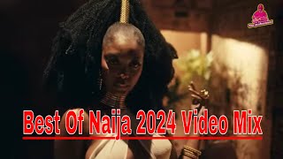 Best Of Naija 2024 Video Mix [upl. by Schwartz]