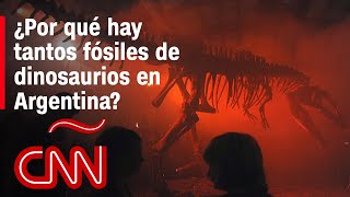 Fósiles de dinosaurios en Argentina por qué la Patagonia es tan rica para estos hallazgos [upl. by Yeldoow435]