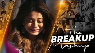 Sad Song 2024  Hindi Sad Songs Heart Touching Sad Songs Breakup Songs Sad Mashup Bollywood song [upl. by Nonnelg]