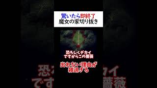 驚いたらセーブ地点からやり直し縛りで疑惑の判定が出た 魔女の家 切り抜き ホラゲー shorts [upl. by Felise292]