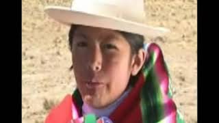 wari wawita canción aymara subtitulada [upl. by Korry]