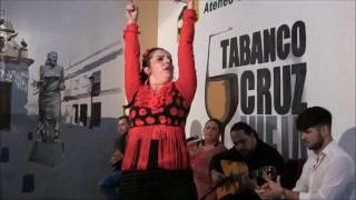 Jerez de la Ftra Cádiz FABIOLA BARBA baila Soleá por Bulerías en el Tabanco Cruz Vieja [upl. by Eihs]