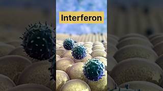 Interferon Protein LearnWithAnuragSir biofacts biologybook neet ncertLearnWithAnurag2024 [upl. by Fernas]