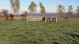 Behind the scenes at racehorse trainer Colin Tizzards Milborne Port yard [upl. by Hesky23]