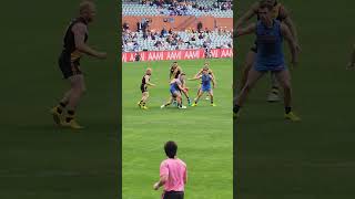 Is this a free kick or not afl sanfl finals aflfinals sanflfinals [upl. by Arabela377]