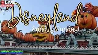 DISNEYLAND LIVE Sunday Magic from Disneyland [upl. by Edda]