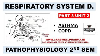 Unit 2  Asthma  COPD  Respiratory System  Part 3  Pathophysiology b pharm 2nd semester [upl. by Oznerol]