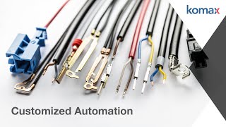 Customized Automation [upl. by Akiria711]