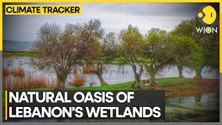 Lebanon wetlands preserve ecological diversity despite climate change  WION Climate Tracker [upl. by Eidua]