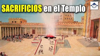 🔴 Sacrificio y Propiciación en el Templo ¿Bueno o Malo Razón Bíblica [upl. by Ialokin]