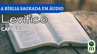 AUDIOBOOK A BÍBLIA NARRADA  LEVÍTICO CAP 1 [upl. by Leanahtan599]