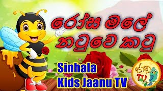 රෝස මලේ නටුවෙ කටූ  Rosa male natuwe katu  Malshika Ranathunga  Sinhala Kids Jaanu TV [upl. by Dirgis]