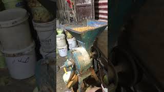 🇬🇲Making Domoda peanut butter in Gambia 🇬🇲 gambia africancountries [upl. by Aniram]