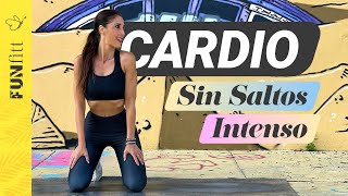 ¡Adiós Barriga Cardio Intenso Sin Saltar para Eliminar Grasa Abdominal [upl. by Frances]