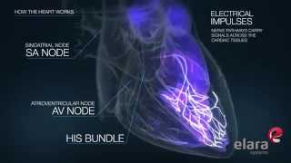 Medical 3D Animation Video Explains How the Heart Works [upl. by Senskell]