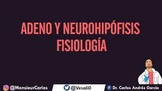 Fisiología  Hipófisis Hormonas Regulación de la Adeno y Neurohipófisis [upl. by Anahsed]