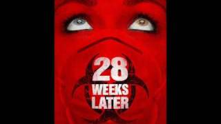 28 Weeks Later  28 Theme [upl. by Aened563]