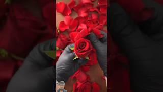 Rose Burrito shorts food cake roseflower recipe love cooking chocolate funny recipes fyp [upl. by Saeger]