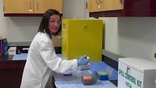 Intro to Multichannel Pipetting [upl. by Jaunita]