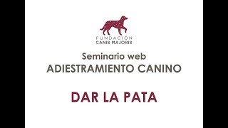 Adiestramiento canino Dar la pata [upl. by Campman]