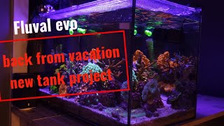 fluval evo 135 mixed reef update [upl. by Jane370]