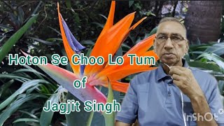 Hoton Se Choo Lo Tum Film Prem Geet1963 by Enceejay [upl. by Enimassej16]