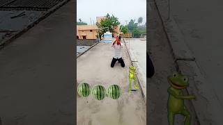 frock Gorilla dame ko Sita monkey cartoon video cartoon shortvideo shorts vfx [upl. by Enotna969]