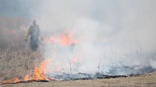 Shiawassee National Wildlife Refuge prescribed burn [upl. by Lincoln]