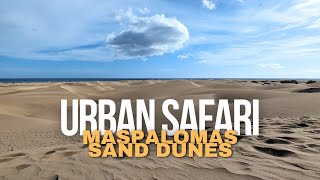 Walking and discovering the Sand Dunes of Maspalomas 4K60fps [upl. by Ednyl250]