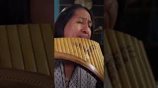 Hallelujah Golden Pan Flute [upl. by Petula]