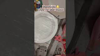 Destapar el Water del baño sin esfuerzo 🚽💧 viral tiktok shortvideos chile [upl. by Koppel365]