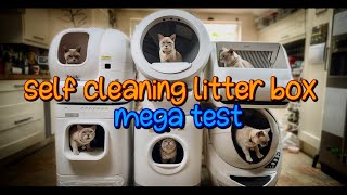 Self Cleaning Litter Box Mega Test LITTERROBOT 4 REVIEW [upl. by Enilrad]