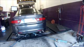 ProFunction TSX Dyno Session  225whp All Motor [upl. by Yelrak]