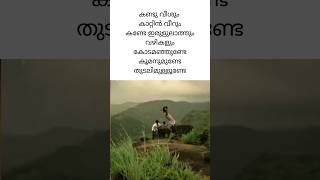 Idukki Gold 💫 Part 3 idukkigold lyrics malayalamlyrics family college school kerala land [upl. by Lanita462]