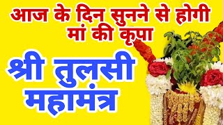 श्री तुलसी जी महामंत्र।। Tulsi Maa Mahamantra।। आज सुनने से होगी मां की कृपा [upl. by Soo]