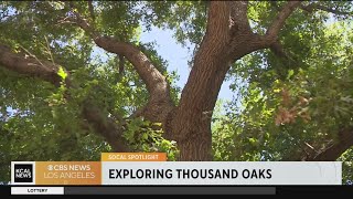 SoCal Spotlight Exploring Thousand Oaks [upl. by Jayson]