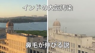 インドの大気汚染の影響で伸びる鼻毛を切るだけ [upl. by Velma671]