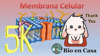 TODO sobre Membrana celular [upl. by Bois]