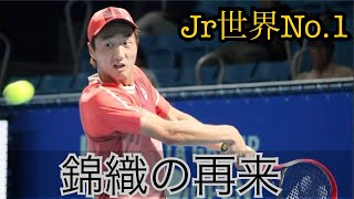 【テニス戦術解説】世界215位がTOP10を倒した理由Jr世界No1 望月慎太郎のテニス 〜Shintaro Mochizuki vs Taylor Fritz Tokyo2023〜 [upl. by Rednav]