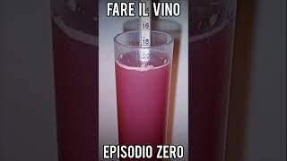 Fare il vino EPISODIO 0 tutti i passaggi per produrlo in casa short [upl. by Nolyat288]