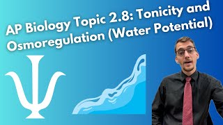 28 Tonicity and Osmoregulation Part II Water Potential  AP Biology [upl. by Wardle651]