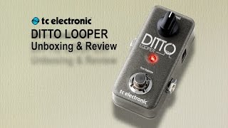 Ditto Looper Unboxing Demo amp Review [upl. by Kinzer811]